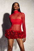 Sally Mock Neck Sheer Mini Dress