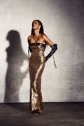 Thera Sequin Strapless Maxi Dress