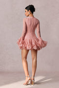 Leila Semi-sheer Flare Mini Dress