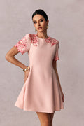 Moira Floral Embroidered Short Sleeve Mini Dress
