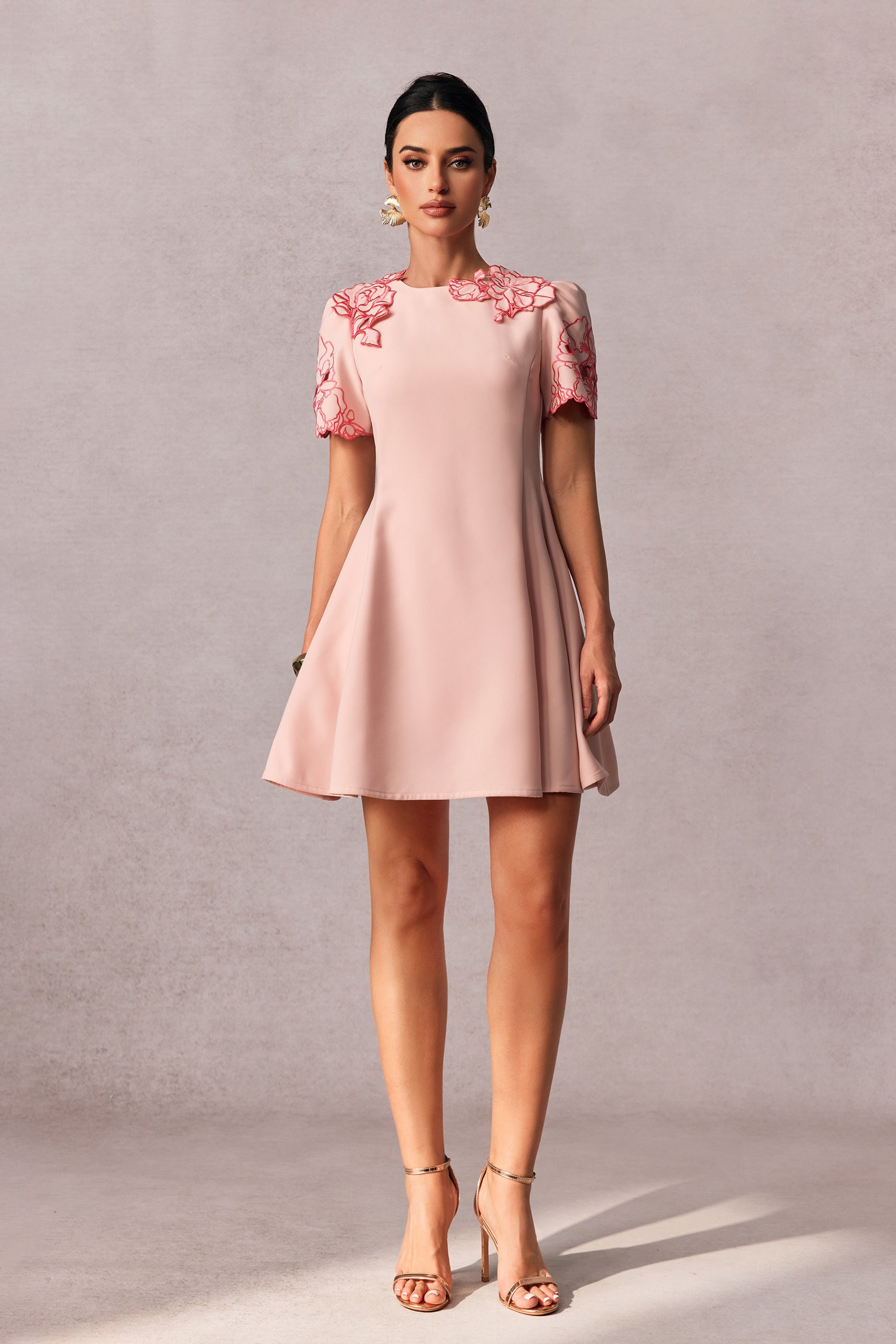 Moira Floral Embroidered Short Sleeve Mini Dress