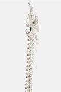 Crystal Flower Fringe Clip On Earrings
