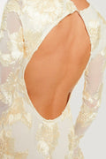Aurora Embroidered Backless Mesh Mini Dress