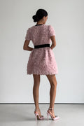 Amelia Rose Embellished V-neck Mini Dress