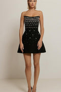 Frances Crystal-embellished Sleeveless Mini Dress