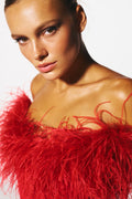 Veronica Feather Trim Strapless Maxi Dress